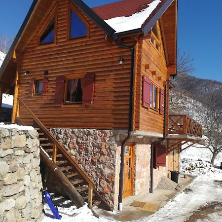 Vila Jelena Crni Vrh Εξωτερικό φωτογραφία