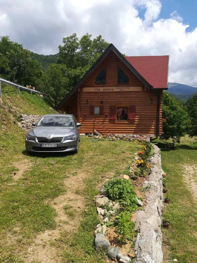 Vila Jelena Crni Vrh Εξωτερικό φωτογραφία