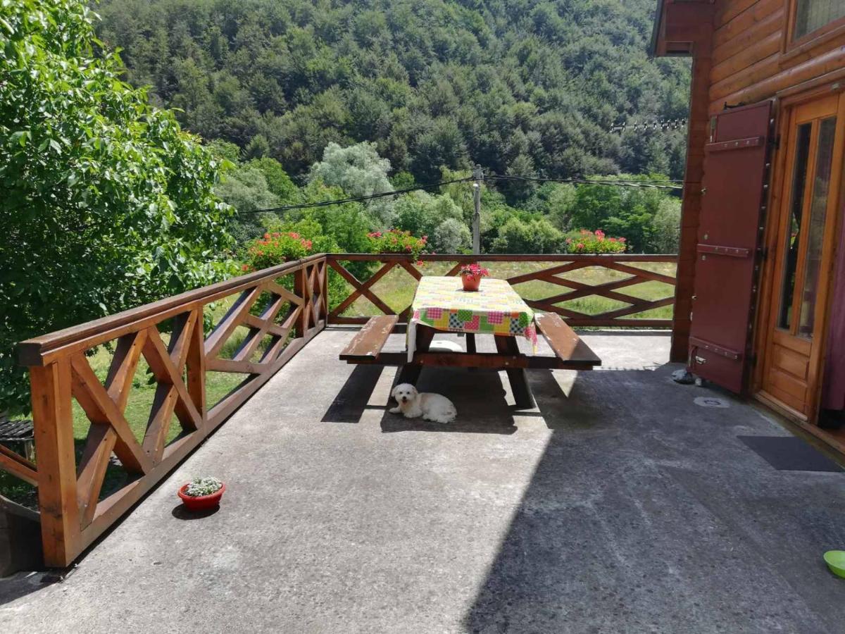 Vila Jelena Crni Vrh Εξωτερικό φωτογραφία
