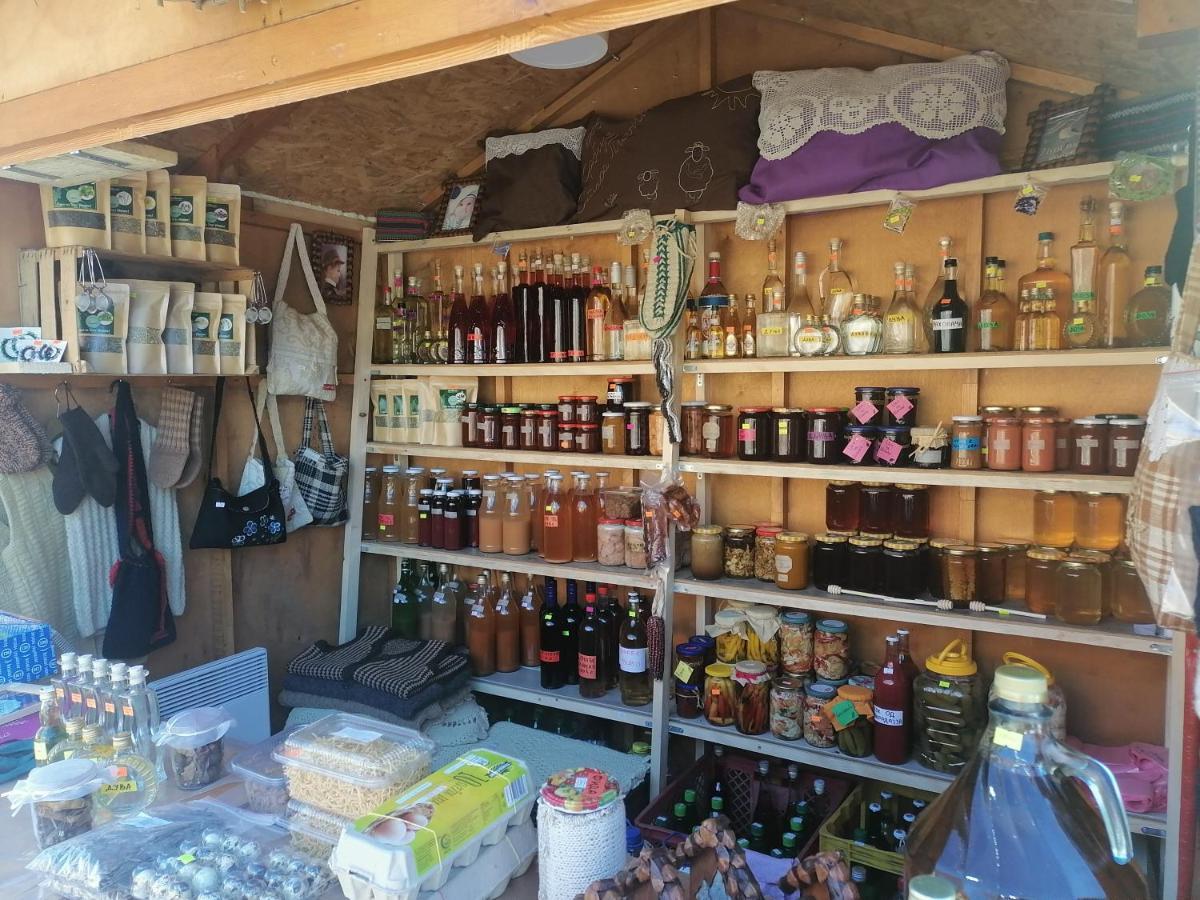Vila Jelena Crni Vrh Εξωτερικό φωτογραφία