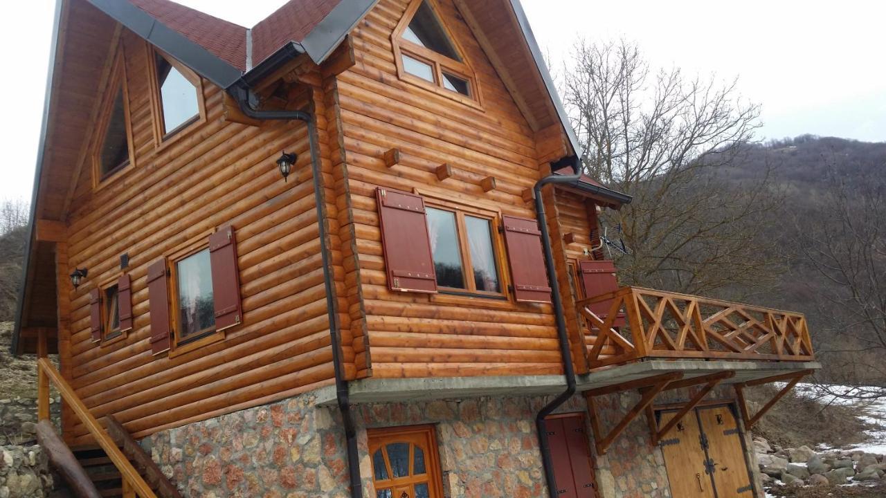 Vila Jelena Crni Vrh Εξωτερικό φωτογραφία
