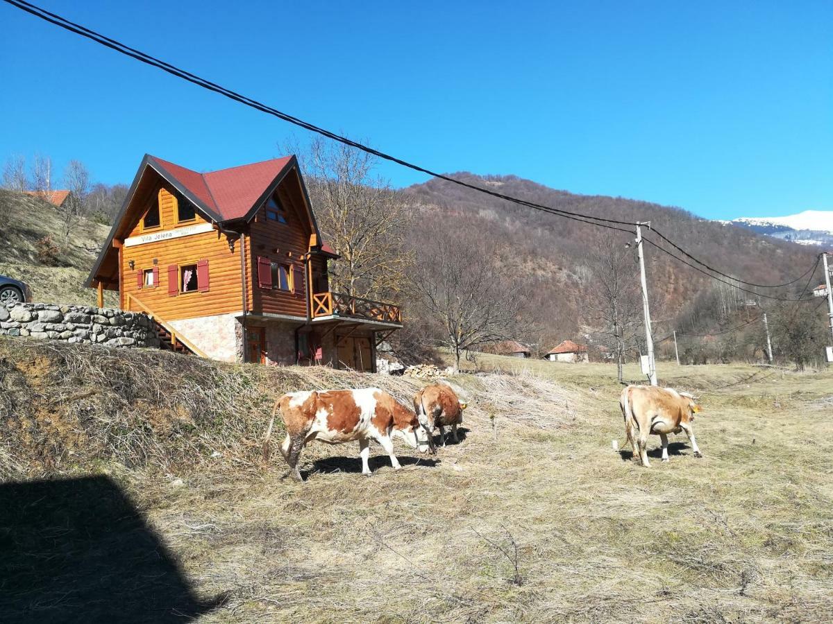 Vila Jelena Crni Vrh Εξωτερικό φωτογραφία